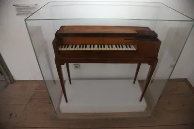 DSC_6228 (Large).JPG